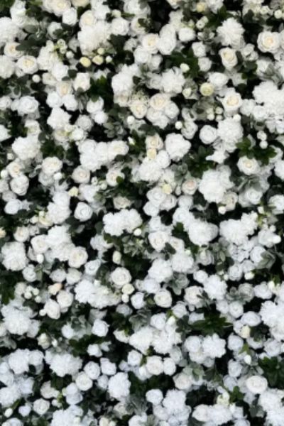 Ivory flower wall backdrop