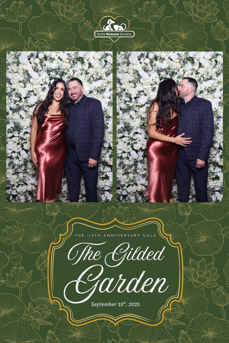 Branded template: The Gilded Garden gala