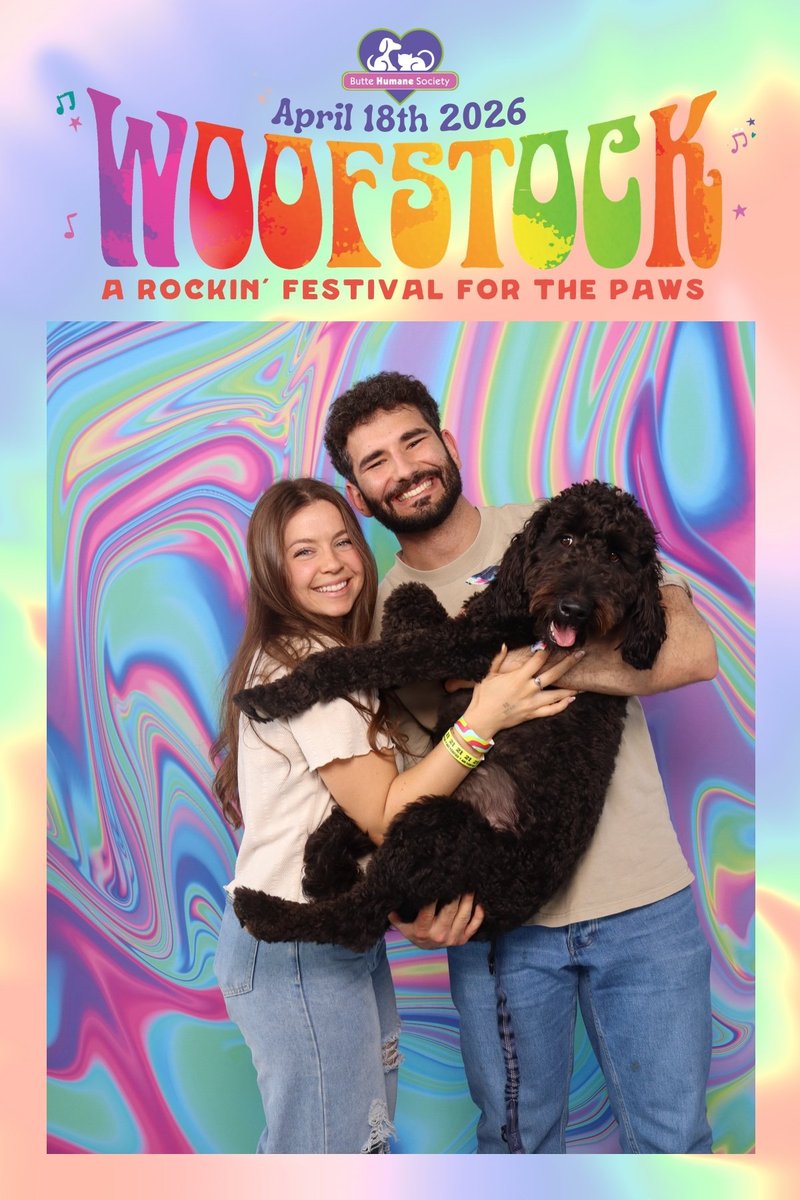 Branded template: Woofstock